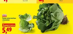 Lidl Sałata masłowa z korzeniem polska oferta