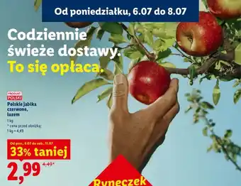 Lidl Jabłka czerwone polskie luzem oferta
