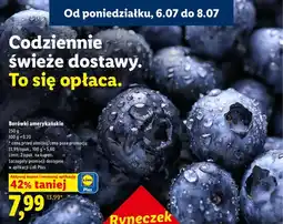 Lidl Borówki amerykańskie Ryneczek Lidla oferta