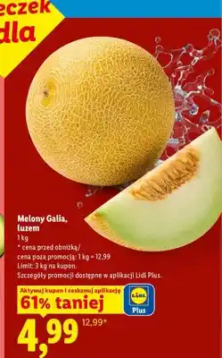 Lidl Melony Galia luzem Ryneczek Lidla oferta
