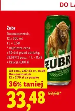 Lidl Piwo Żubr 12-pak oferta