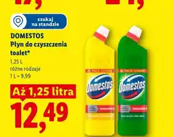 Lidl Płyn do czyszczenia toalet Domestos oferta
