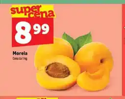 Topaz Morela oferta
