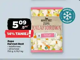 Netto Zupa kalafiorowa Harvest Best oferta