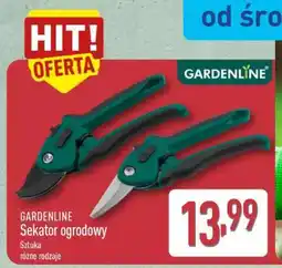 ALDI GARDENLINE oferta