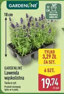 ALDI GARDENLINE oferta
