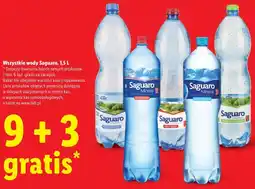 Lidl Wszystkie wody Saguaro oferta