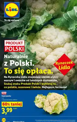 Lidl Polski kalafior oferta