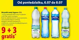 Lidl Wszystkie wody Saguaro oferta