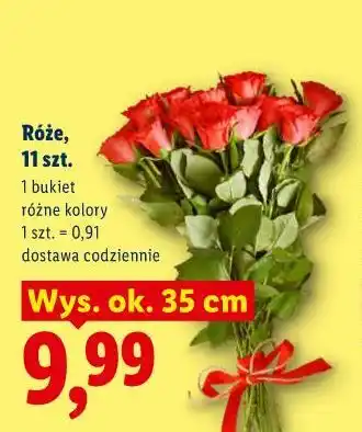 Lidl Róże, 11 szt oferta