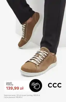 CCC Półbuty Lasocki oferta