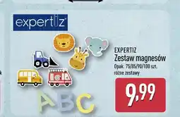 ALDI Zestaw magnesów Expertiz oferta