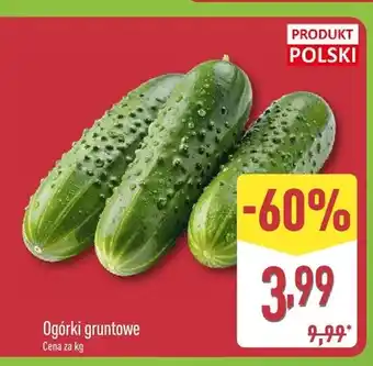 ALDI Ogórki gruntowe polskie oferta