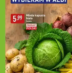 ALDI Kapusta biała młoda polska oferta