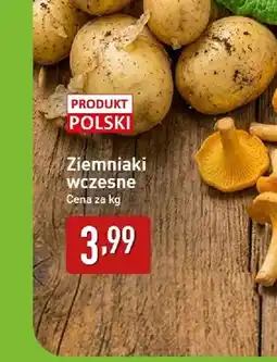 ALDI Ziemniaki wczesne polskie oferta