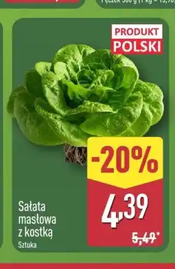 ALDI Sałata masłowa z kostką polska oferta