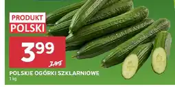 Stokrotka Ogórki szklarniowe polskie oferta