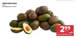 Stokrotka Awokado Hass oferta