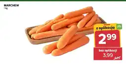 Stokrotka Marchew oferta