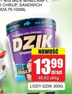 Bingo Lody Dzik oferta