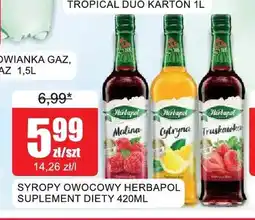 Bingo Syrop owocowy Herbapol Malina oferta