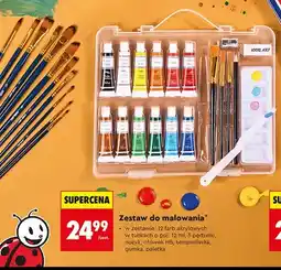 Biedronka Zestaw do malowania Loozz Art oferta