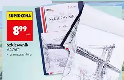 Biedronka Szkicownik Loozz Art A4 40 kartek oferta