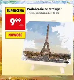 Biedronka Podobrazie ze sztalugą LOOZZ 23x18 cm oferta