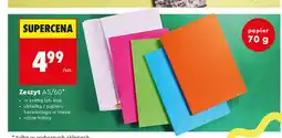 Biedronka Zeszyt A5/60 w kratkę Herlitz okładka barwiona w masie oferta