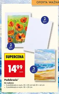 Biedronka Podobrazia LOOZZ 2-pak 35x25 cm oferta