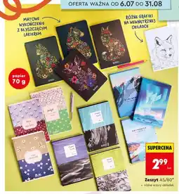 Biedronka Zeszyt A5/60 Herlitz różne wzory oferta