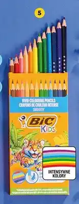 Biedronka Kredki ołówkowe BIC Kids 12-pak oferta