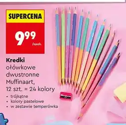 Biedronka Kredki ołówkowe dwustronne Astra Muffinaart oferta