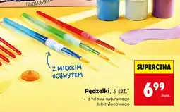 Biedronka Pędzelki Astra z miękkim uchwytem z włosia naturalnego 3-pak oferta