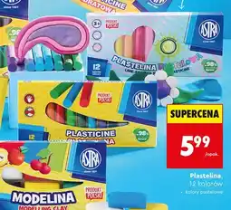 Biedronka Plastelina pastelowa Astra 12 kolorów oferta