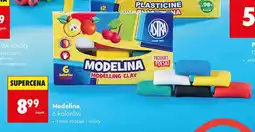 Biedronka Modelina Astra 6 kolorów oferta