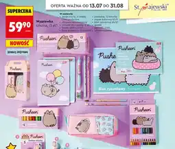Biedronka Zestaw wyprawka szkolna Pusheen St. Majewski 13-elementowy oferta