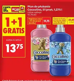 Biedronka Płyn do płukania Coccolino Perfume & Care Honeysuckle & Sandalwood oferta