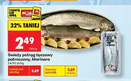 Biedronka Świeży pstrąg tęczowy patroszony Marinero oferta