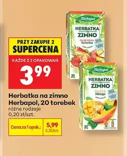 Biedronka Herbatka na zimno Herbapol Truskawka Rabarbar oferta