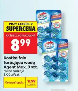 Biedronka Kostka fala farbująca wodę Agent Max Eucalyptus oferta