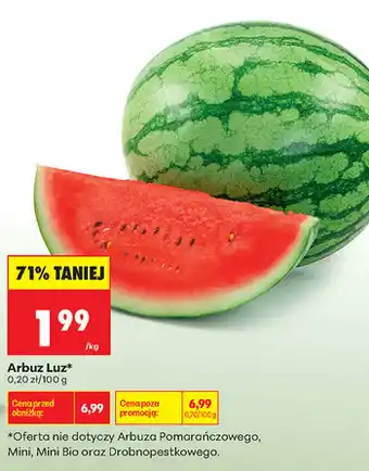 Biedronka Arbuz Luz oferta