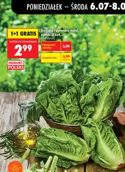 Biedronka Sałata rzymska mini oferta