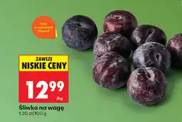 Biedronka Śliwka na wagę oferta