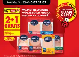 Biedronka Wędliny w plastrach Kraina Wędlin na co dzień oferta