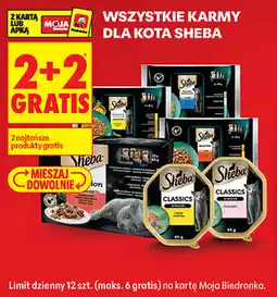 Biedronka WSZYSTKIE KARMY DLA KOTA SHEBA oferta