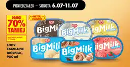 Biedronka Lody familijne Big Milk oferta