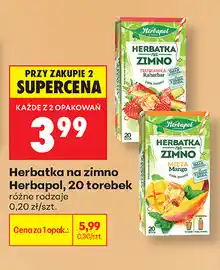 Biedronka Herbatka na zimno Herbapol oferta