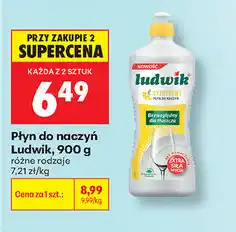 Biedronka Płyn do naczyń Ludwik oferta