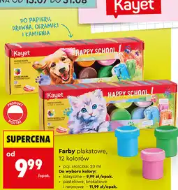 Biedronka Kayet Farby plakatowe, 12 kolorów oferta